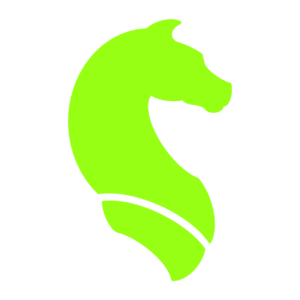 Eine Springer Schachfigur